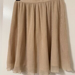 H&M Shimmering Beige A-Line Skirt
